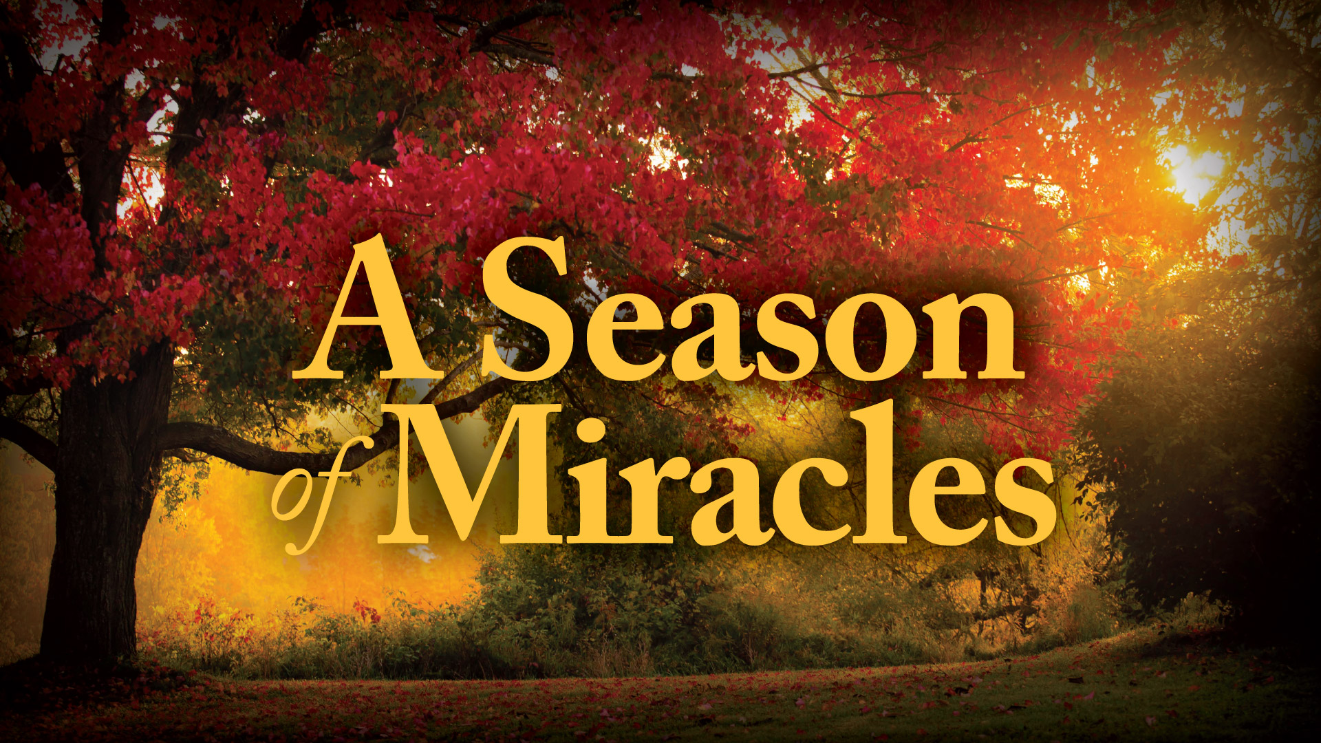 A Season of Miracles – Pursue Jesus